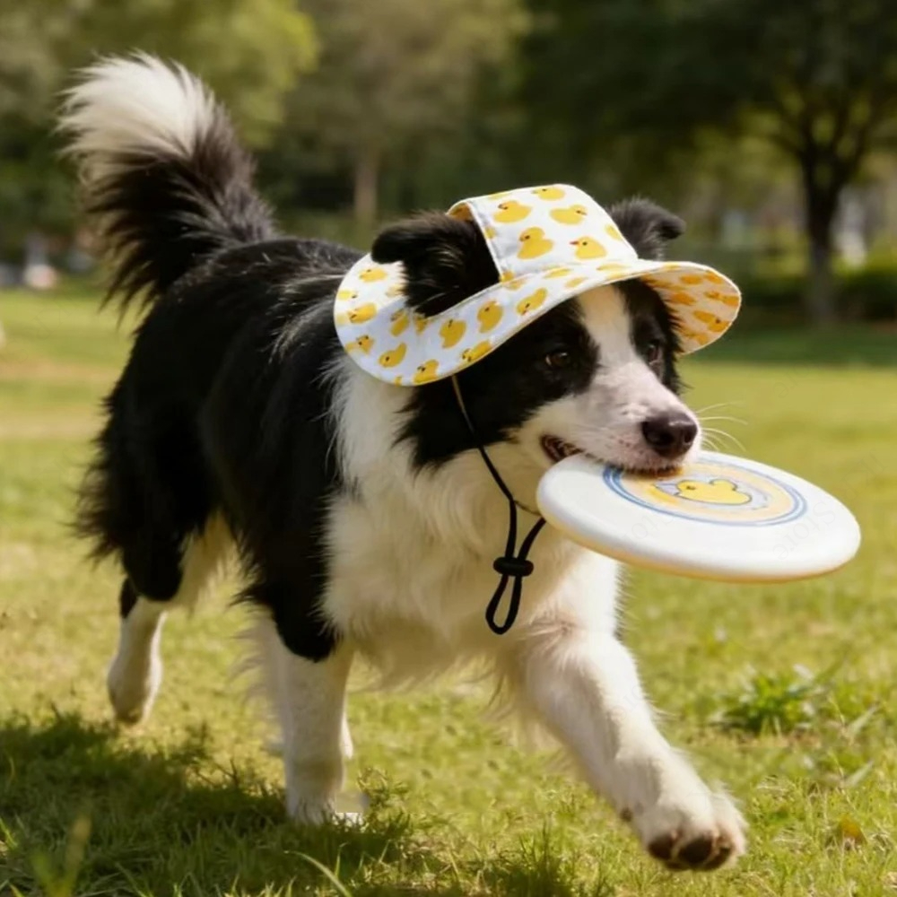 Printed Pet Dog Hat Adjustable - Running Cap Lightweight review and price